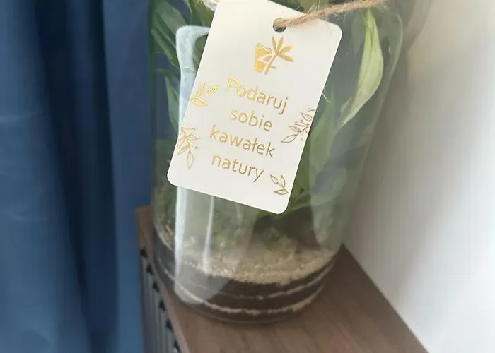 Czarne Owce * Szklarska Poreba